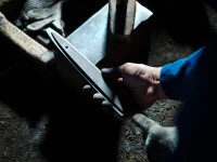 Damastmesser Sashimi 270, Silver Steel 6 Damastmesser Sashimi 270, Silver Steel – Bild 6