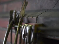 Damastmesser Yanagiba 270 White Ebony, 35 Lagen 9 Damastmesser Yanagiba 270 White Ebony, 35 Lagen – Bild 9