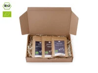 Grüner Tee Test-Set ROASTED 3 Grüner Tee Test-Set ROASTED – Bild 3