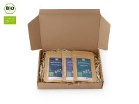 Grüner Tee Test-Set SENCHA 3 Grüner Tee Test-Set SENCHA – Bild 3