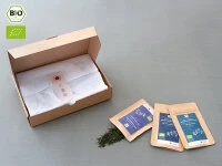 Grüner Tee Test-Set SENCHA 7 Grüner Tee Test-Set SENCHA – Bild 7