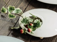 Haushaltsprodukte Geschäft -Haushaltsprodukte Geschäft ikebana vasen mammals l weiss2