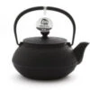 Japanische Teekanne Gusseisen SENBIKI, 0,65 L