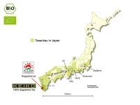 KEIKO Kabusecha Tenbu Fuka, 50 G Frischebeutel 6 KEIKO Kabusecha Tenbu Fuka, 50 G Frischebeutel – Bild 6