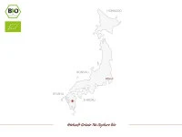 Schattentee Gyokuro Bio, Japan, 100 G 6 Schattentee Gyokuro Bio, Japan, 100 G – Bild 6