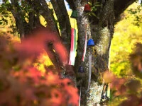 Windspiel, Furin Hamon Blau 6 Windspiel, Furin Hamon Blau – Bild 6